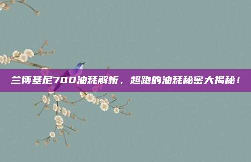 兰博基尼700油耗解析，超跑的油耗秘密大揭秘！