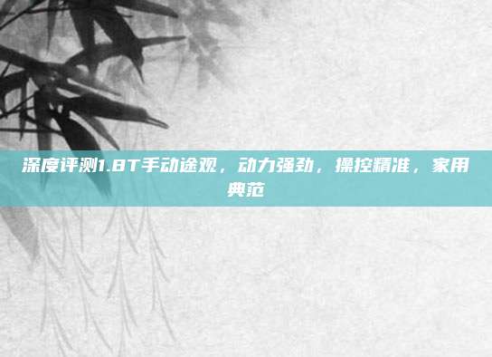 深度评测1.8T手动途观，动力强劲，操控精准，家用典范