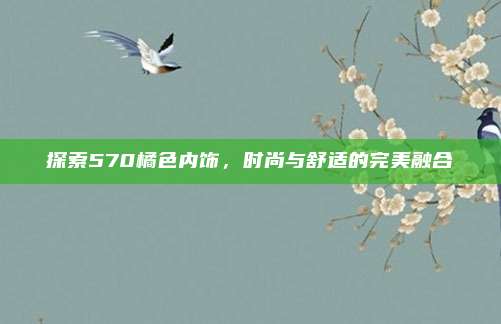 探索570橘色内饰,时尚与舒适的完美融合