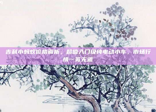 吉利小蚂蚁价格解析，超值入门级纯电动小车，市场行情一览无遗