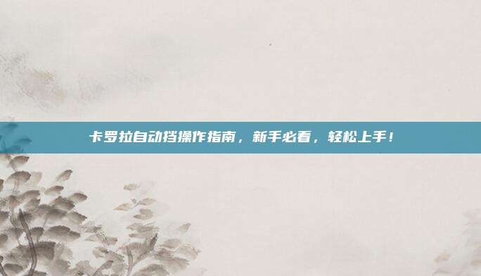 卡罗拉自动挡操作指南，新手必看，轻松上手！