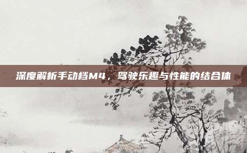 深度解析手动档M4，驾驶乐趣与性能的结合体