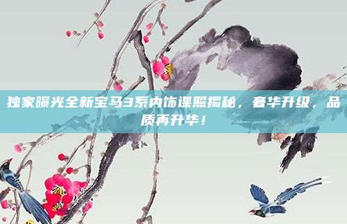 独家曝光全新宝马3系内饰谍照揭秘,奢华升级,品质再升华!