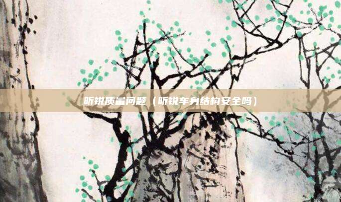 昕锐质量问题(昕锐车身结构安全吗)