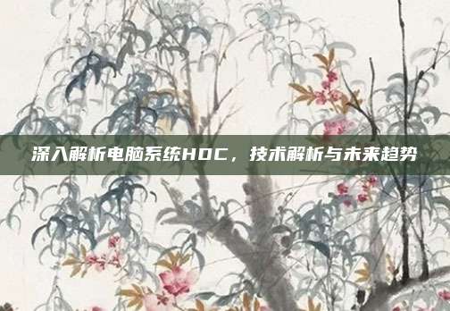 深入解析电脑系统HDC,技术解析与未来趋势