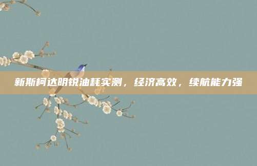 新斯柯达明锐油耗实测,经济高效,续航能力强