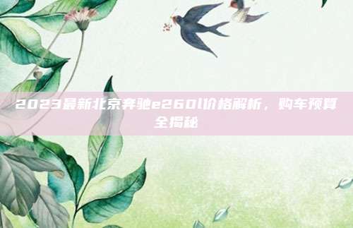 2023最新北京奔驰e260l价格解析，购车预算全揭秘