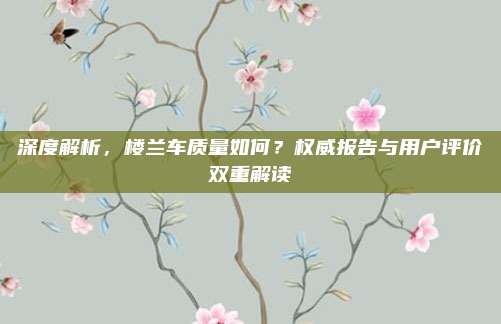 深度解析，楼兰车质量如何？权威报告与用户评价双重解读