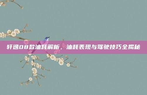 轩逸08款油耗解析，油耗表现与驾驶技巧全揭秘
