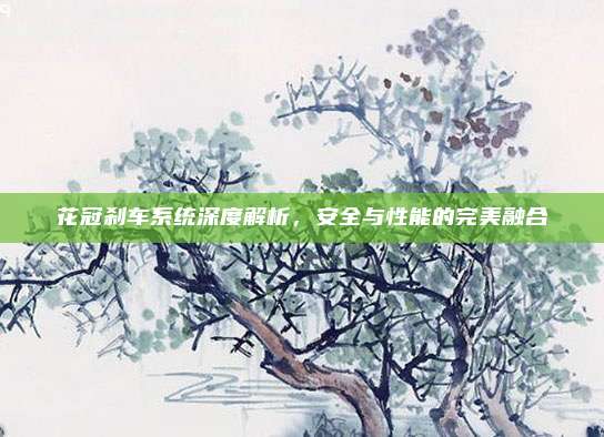 花冠刹车系统深度解析,安全与性能的完美融合
