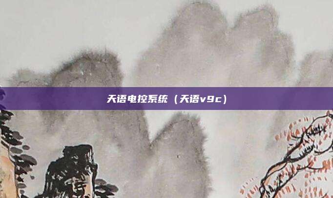 天语电控系统（天语v9c）