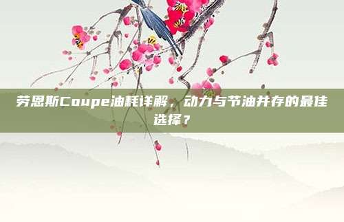 劳恩斯Coupe油耗详解，动力与节油并存的最佳选择？