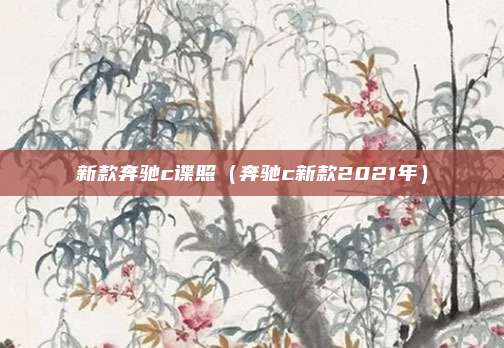 新款奔驰c谍照（奔驰c新款2021年）