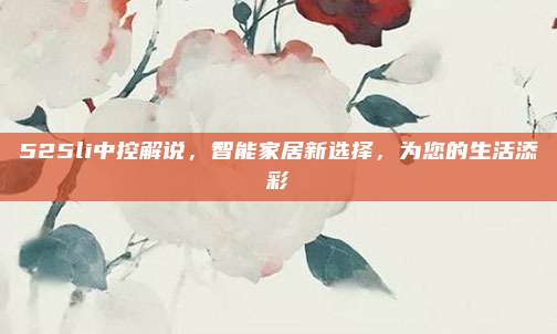 525li中控解说,智能家居新选择,为您的生活添彩