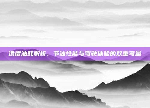凌度油耗解析，节油性能与驾驶体验的双重考量