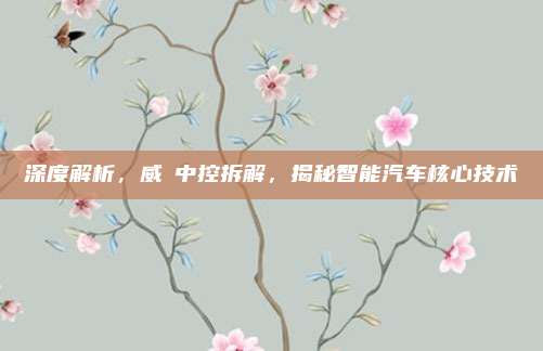 深度解析，威馳中控拆解，揭秘智能汽车核心技术