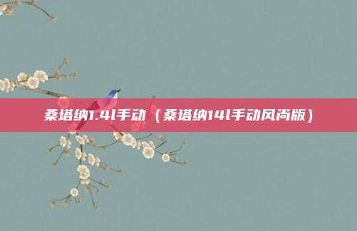 桑塔纳1.4l手动（桑塔纳14l手动风尚版）