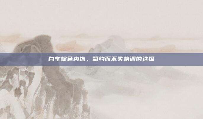 白车棕色内饰,简约而不失格调的选择