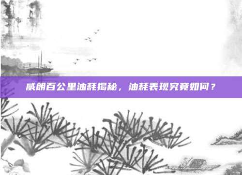 威朗百公里油耗揭秘，油耗表现究竟如何？