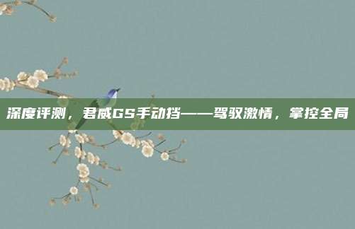 深度评测,君威GS手动挡——驾驭激情,掌控全局