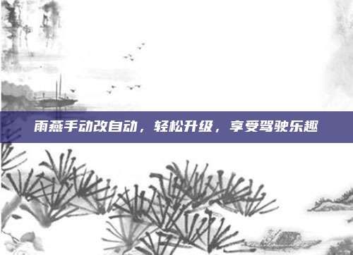 雨燕手动改自动,轻松升级,享受驾驶乐趣
