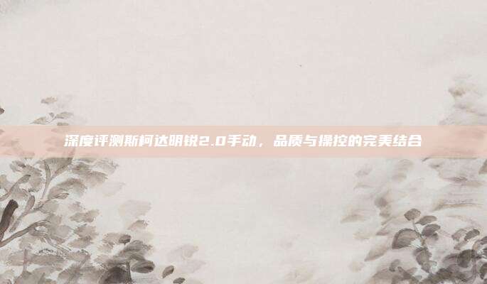 深度评测斯柯达明锐2.0手动,品质与操控的完美结合