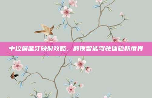 中控屏蓝牙映射攻略，解锁智能驾驶体验新境界