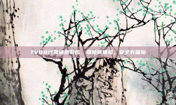 TVBB过弯辅助系统，驾驶新体验，安全有保障
