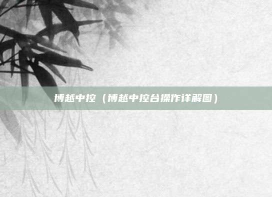 博越中控（博越中控台操作详解图）