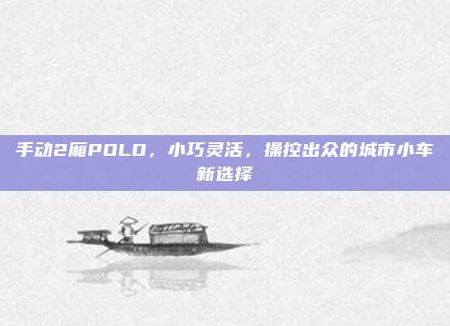 手动2厢POLO，小巧灵活，操控出众的城市小车新选择