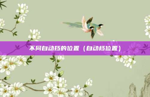不同自动挡的位置（自动档位置）