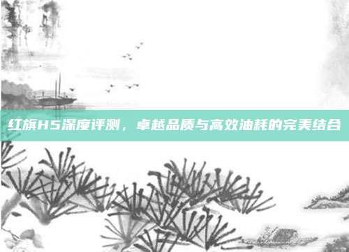 红旗H5深度评测,卓越品质与高效油耗的完美结合