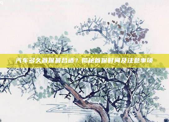 汽车多久首保最合适?揭秘首保时间及注意事项