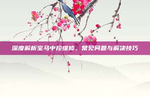 深度解析宝马中控维修,常见问题与解决技巧