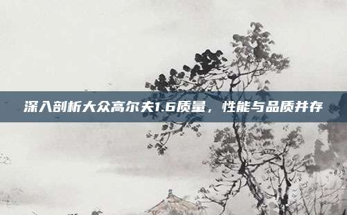 深入剖析大众高尔夫1.6质量,性能与品质并存