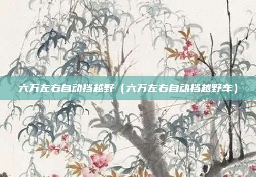 六万左右自动挡越野（六万左右自动挡越野车）
