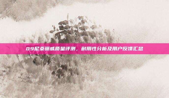 09尼桑骊威质量评测，耐用性分析及用户反馈汇总