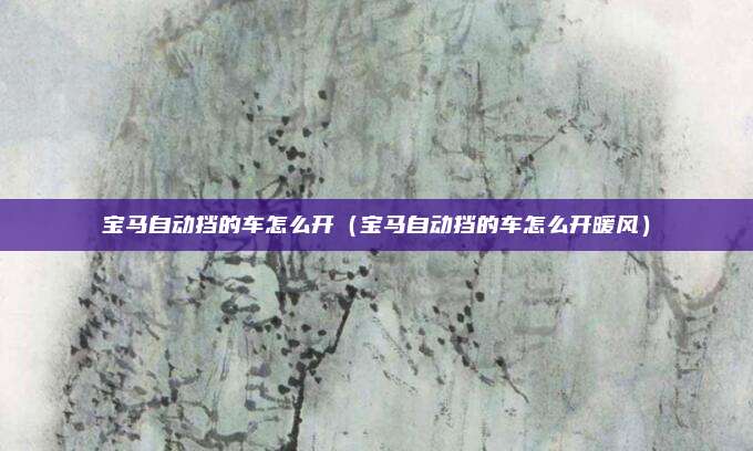 宝马自动挡的车怎么开(宝马自动挡的车怎么开暖风)