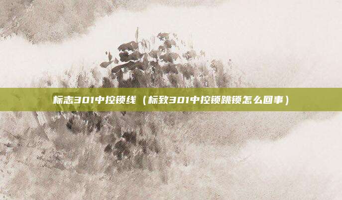 标志301中控锁线（标致301中控锁跳锁怎么回事）