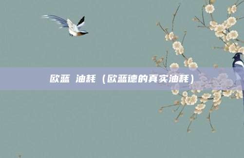欧蓝徳油耗（欧蓝德的真实油耗）
