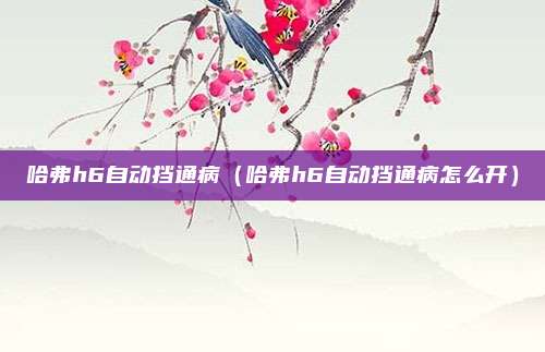 哈弗h6自动挡通病（哈弗h6自动挡通病怎么开）