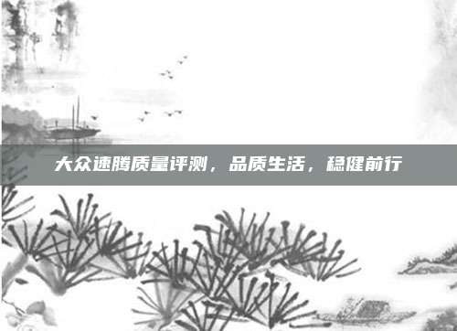 大众速腾质量评测，品质生活，稳健前行