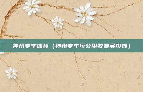 神州专车油耗（神州专车每公里收费多少钱）