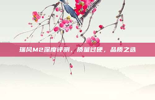 瑞风M2深度评测，质量过硬，品质之选