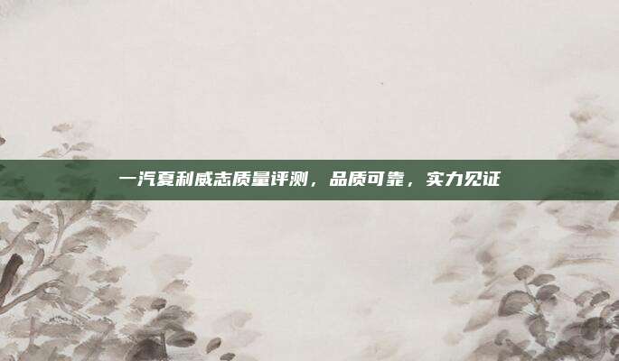 一汽夏利威志质量评测,品质可靠,实力见证
