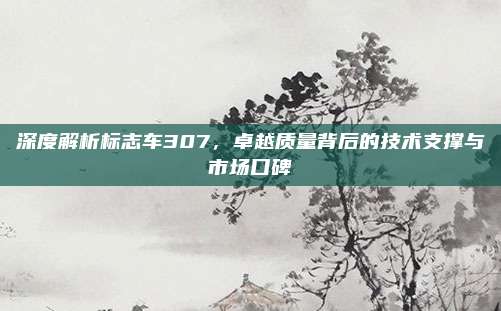 深度解析标志车307，卓越质量背后的技术支撑与市场口碑