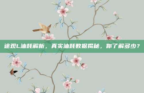 途观L油耗解析,真实油耗数据揭秘,你了解多少?