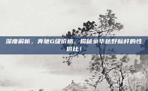 深度解析,奔驰G级价格,揭秘豪华越野标杆的性价比!