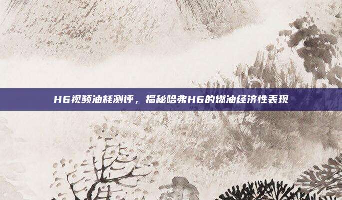 H6视频油耗测评,揭秘哈弗H6的燃油经济性表现