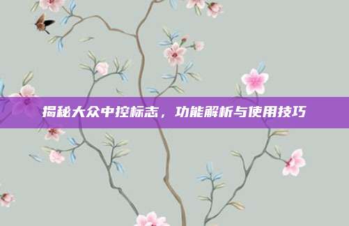 揭秘大众中控标志,功能解析与使用技巧